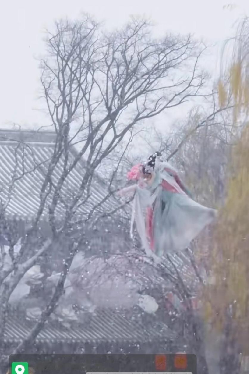 大河南的文旅啊！能不能多点人情味？
前有初雪之时清明上河园演员大雪天跳湖，
今有