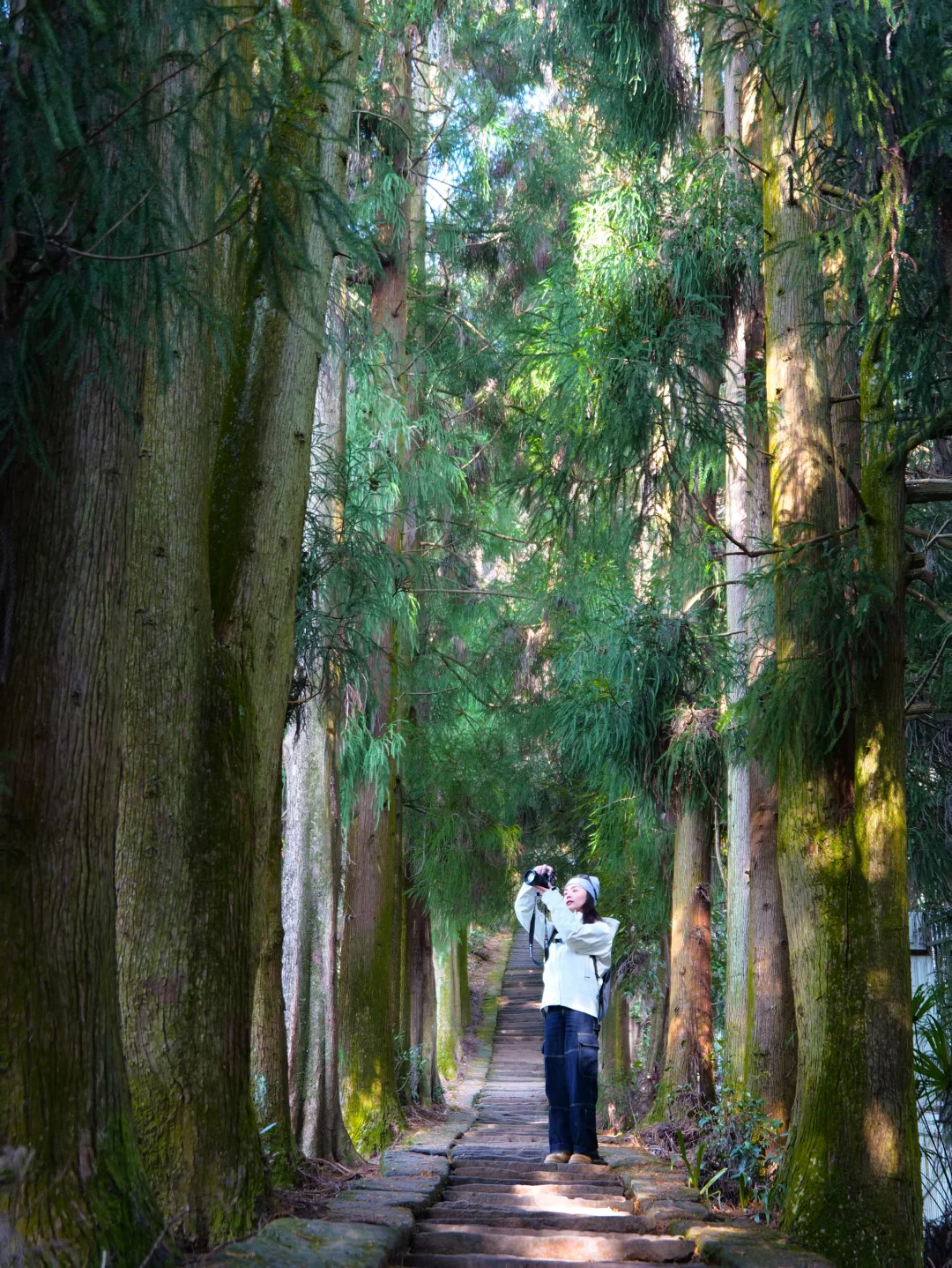 成都周边值得N刷的徒步路线！！！1.5h直达