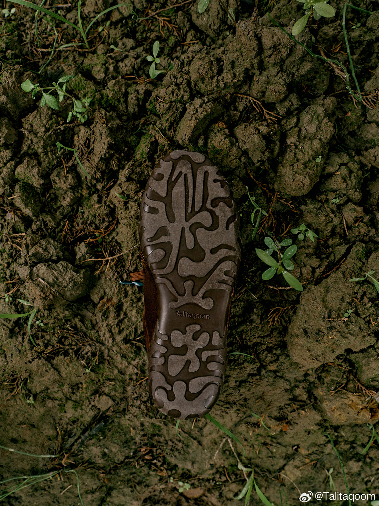 这一季，我们走向近郊山野在林地间捕捉色彩灵感将标志性花瓣与户外山野意象相融让山野