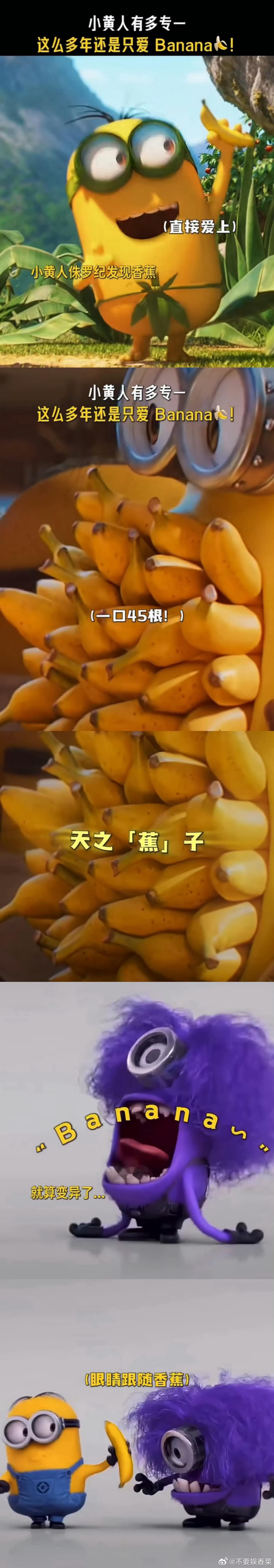 小黄人这么多年还是只爱香蕉一路走来小黄人见识万千好物，唯有香蕉稳居心头第一，捧着