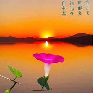 第三只眼讲历史