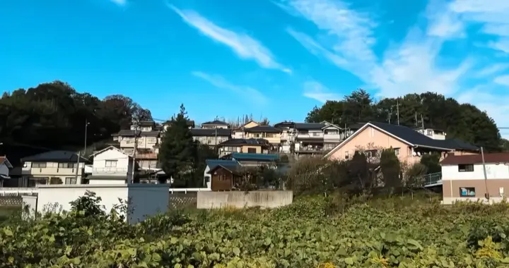 日本“永久性化学物”参考摄入标准制定遭质疑