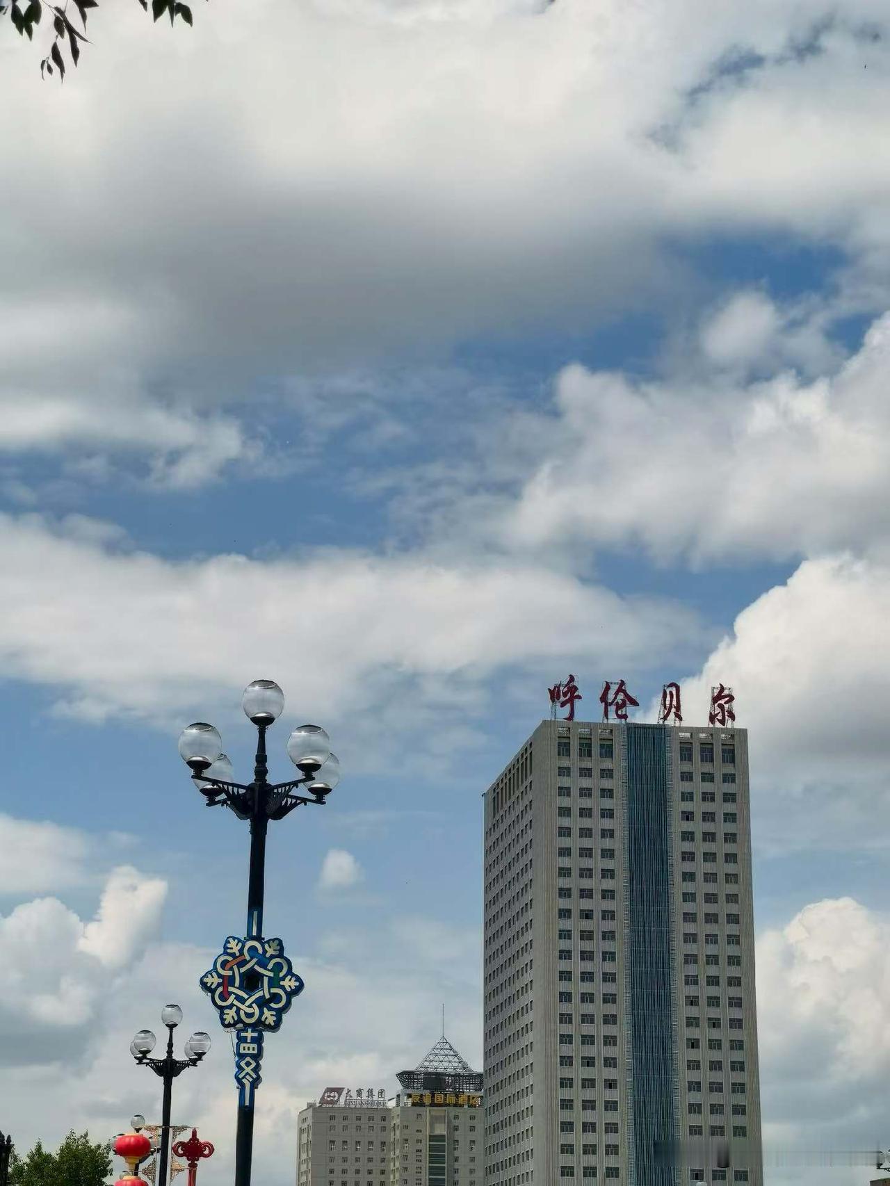 整个城市的酷热烦闷，都被呼伦贝尔大的风慢慢吹散…