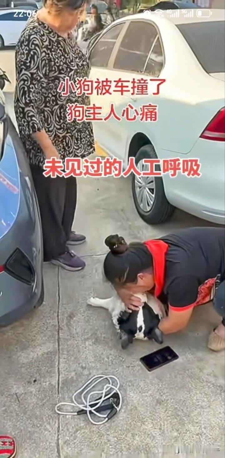 一定要远离把猫狗当亲人的人，这种人已经将自己与猫狗归于一类，言行越来越反人类，排
