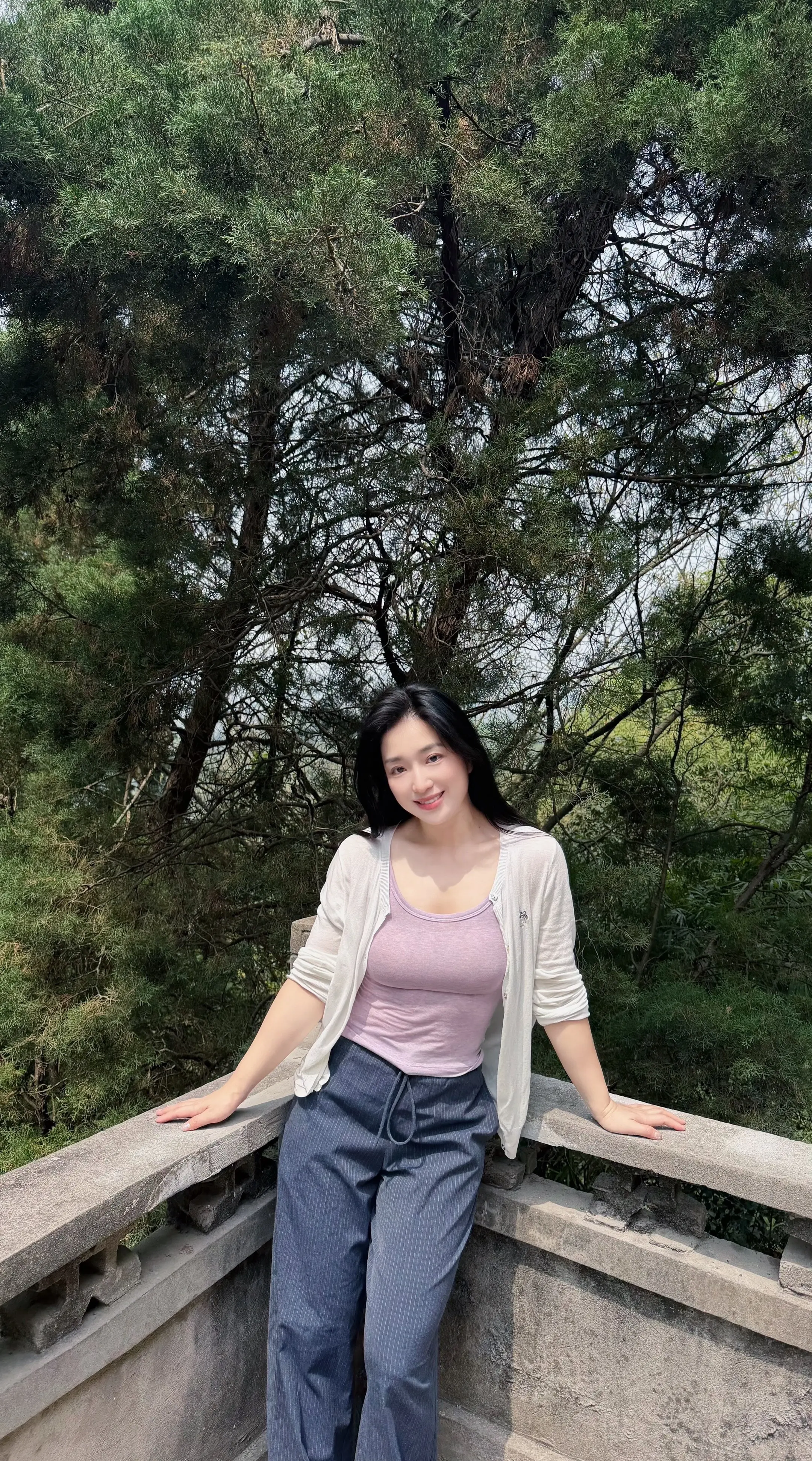 本来无一物 何处惹尘埃