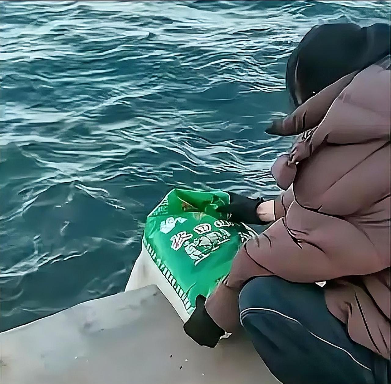 葫芦岛海边出现“放生大米”奇观，引发网友热议，背后有何深意？
近日，辽宁葫芦岛一