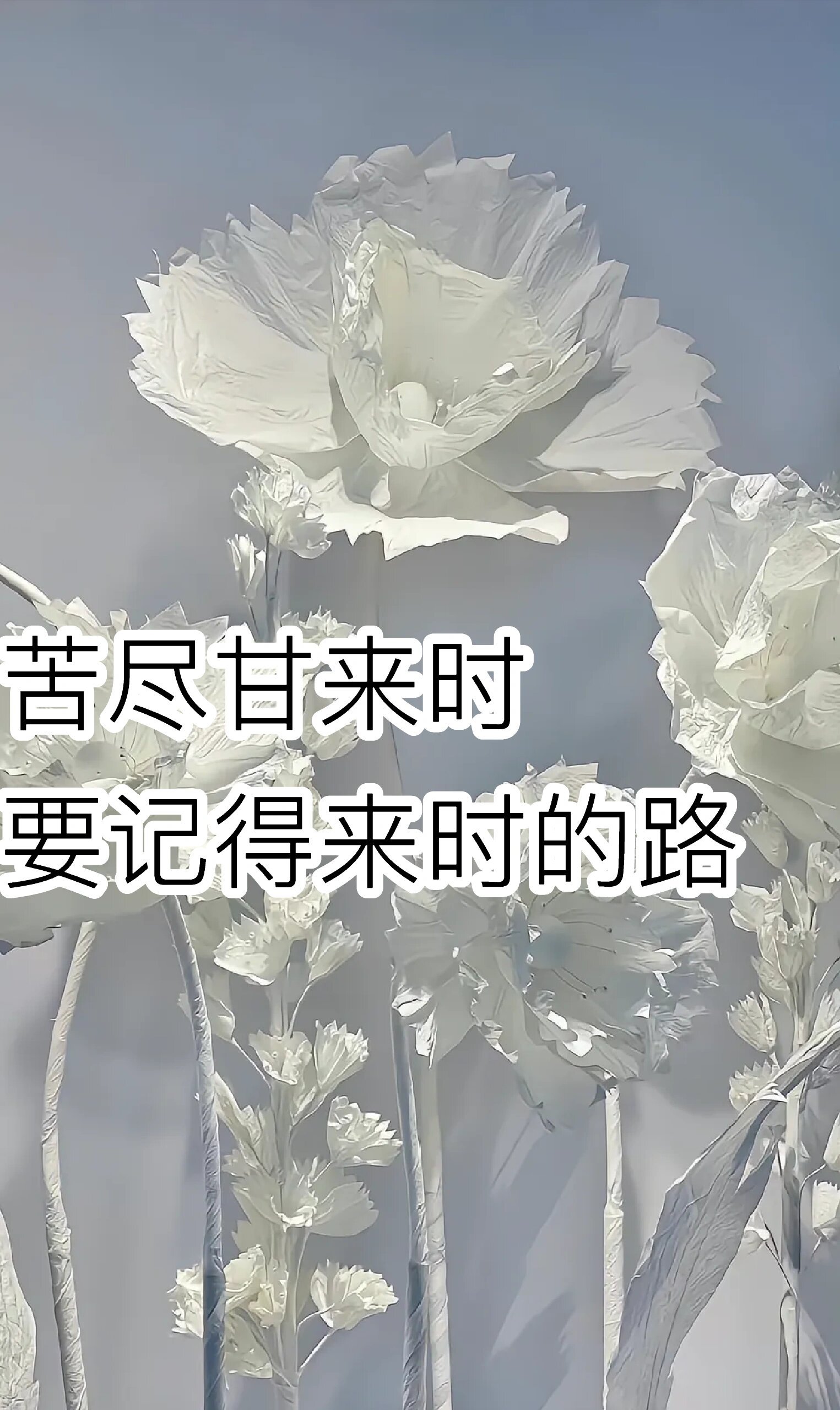 人只有过的好以后，才会真的原谅有些事。 ​​​