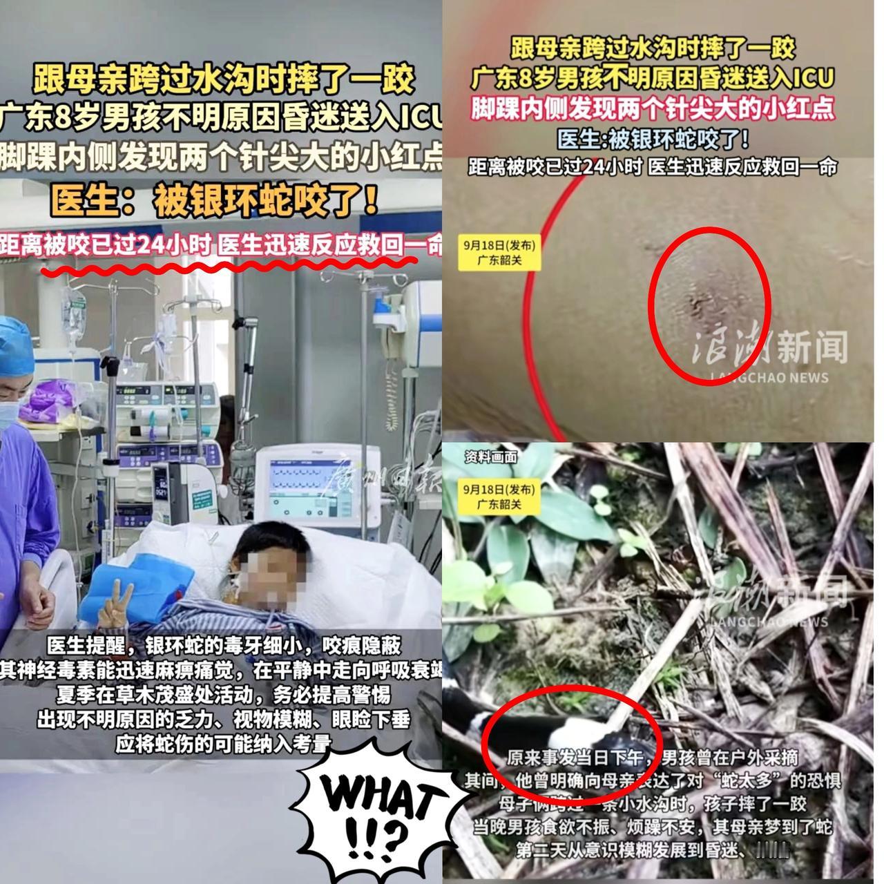 男孩昏迷不醒 直到妈妈的一句话才找到了原因 ！9月18日广东韶关8岁男孩跟妈妈摘