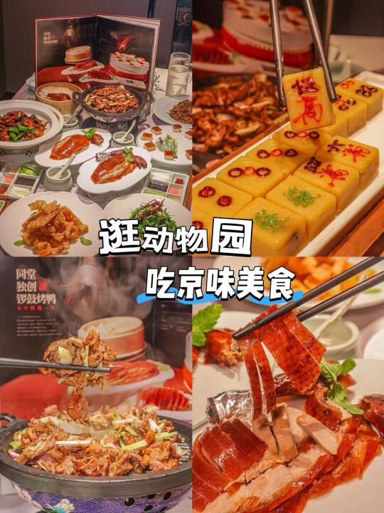 逛动物园|吃京味美食
