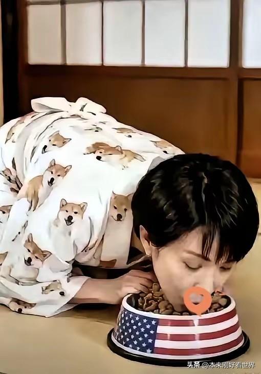 她今日访美，此图也在网上流传，发人深思。有热心网友纷纷在图下添加标题，现选几条供