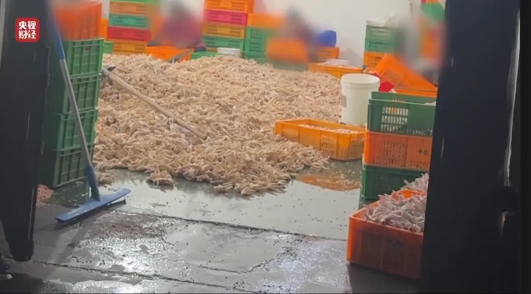 315再爆猛料！代步车、AI搜索、荐股，这些隐形陷阱更难防

315曝光的骗局不