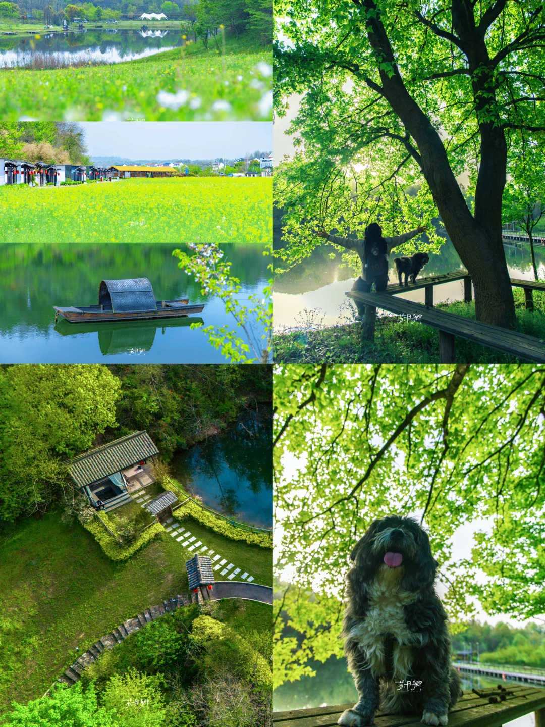 武汉周边1h去山里｜i人和i狗的春日小时光