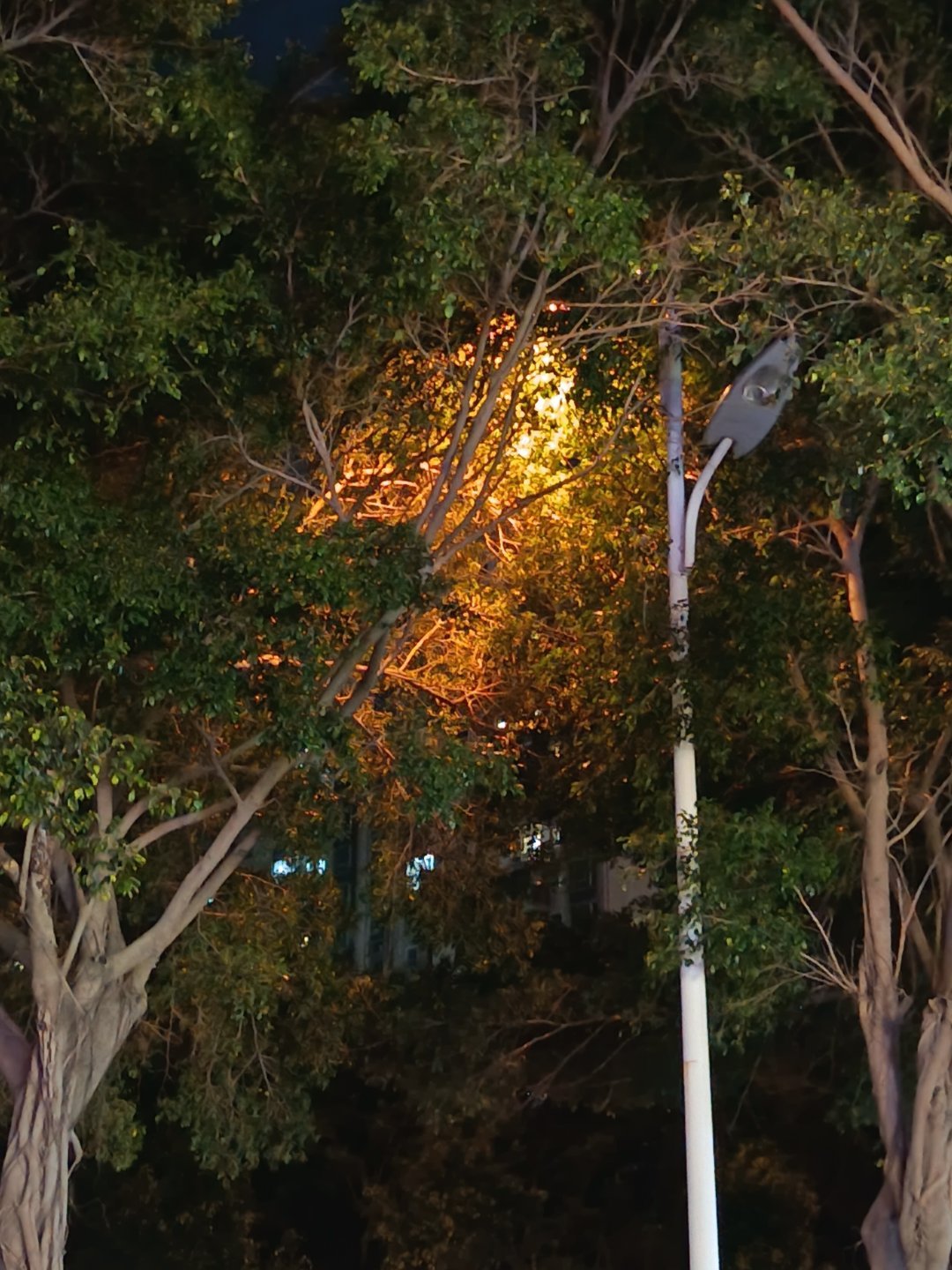 顺手一张 