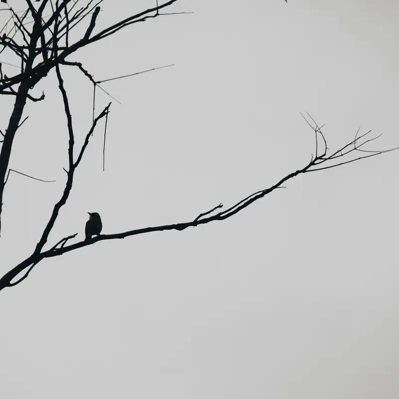 上联：凭栏对月相思诉；
下联：把酒吟风寂寞长。