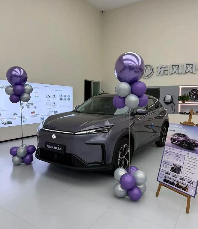 我有个兄弟想买车，我就带他去看刚上市的东风风神L8Y。这可是10万级别的家用纯电