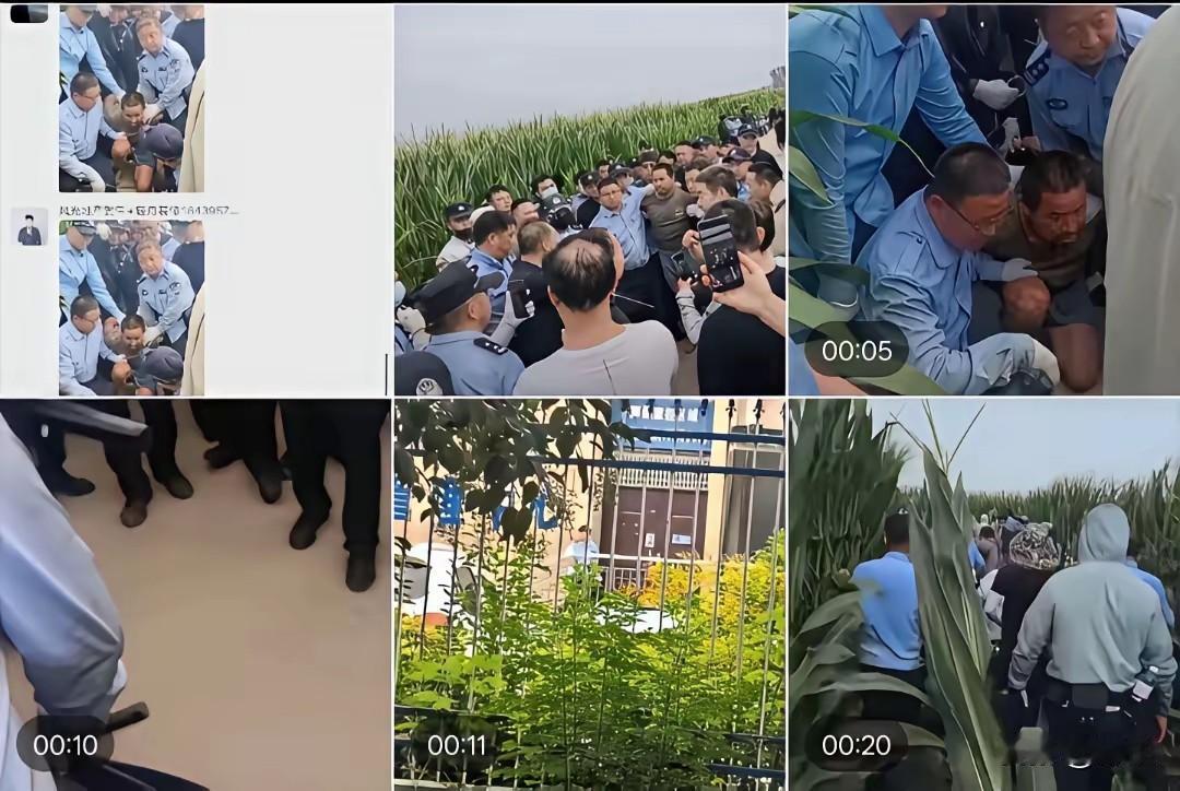 抓到了，从被抓到的图片和视频中可以看到，这哥们是在乡村的农作物里躲起来的，现在也