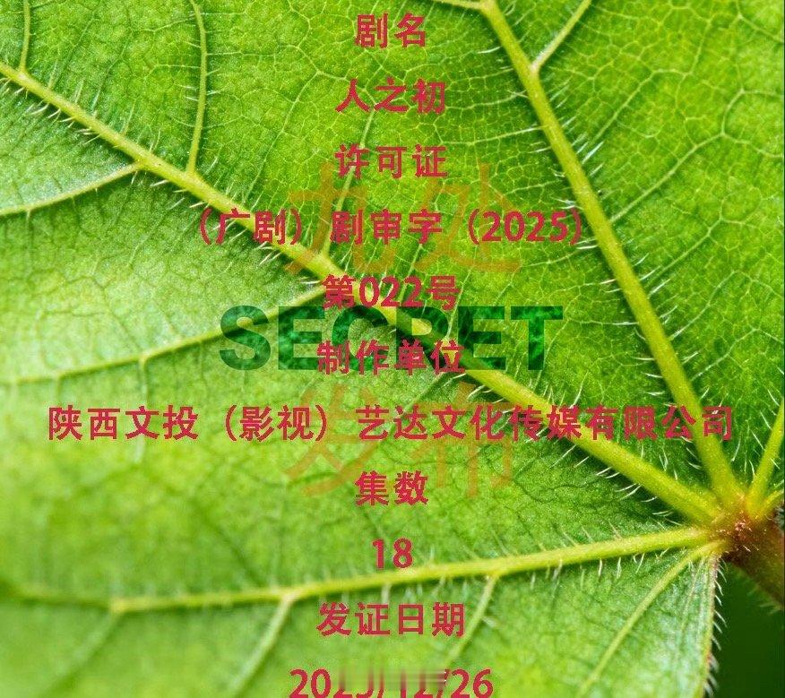 人之初取得发行许可证就是说这是要抬上来的节奏了吧，电视剧《人之初》已经下证了了，