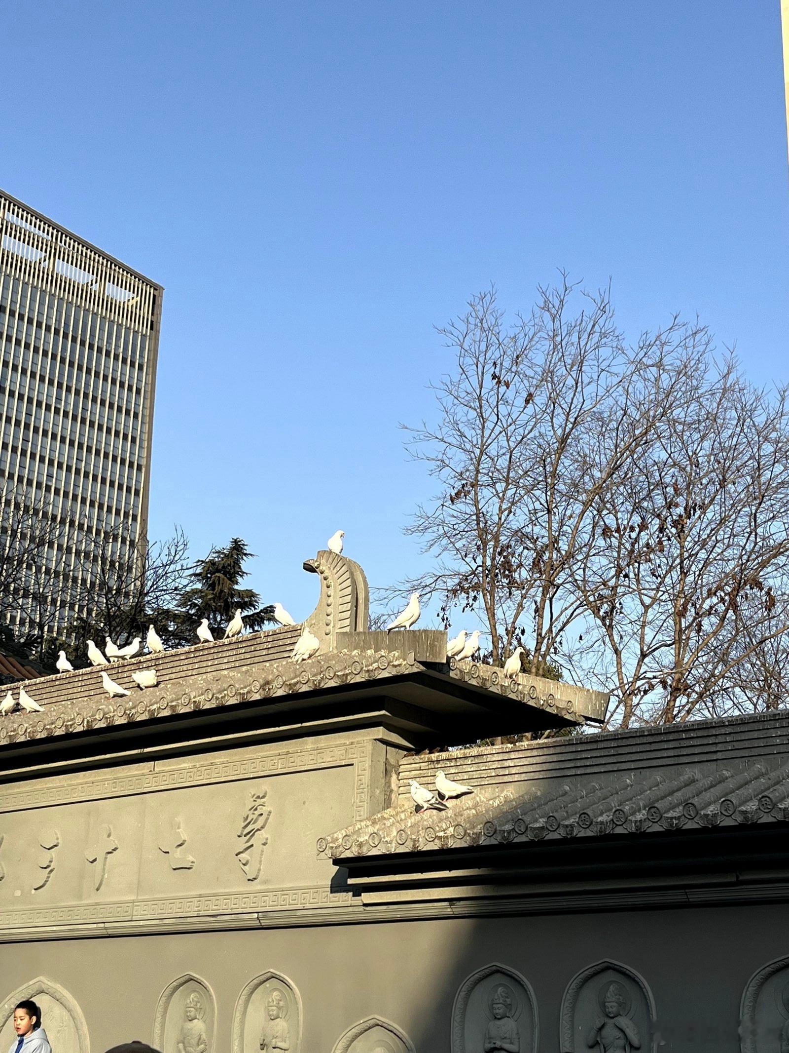 校园随手拍  [开学季] 来看陕西学子花式迎开学  世界之大，美景无处不在。 快