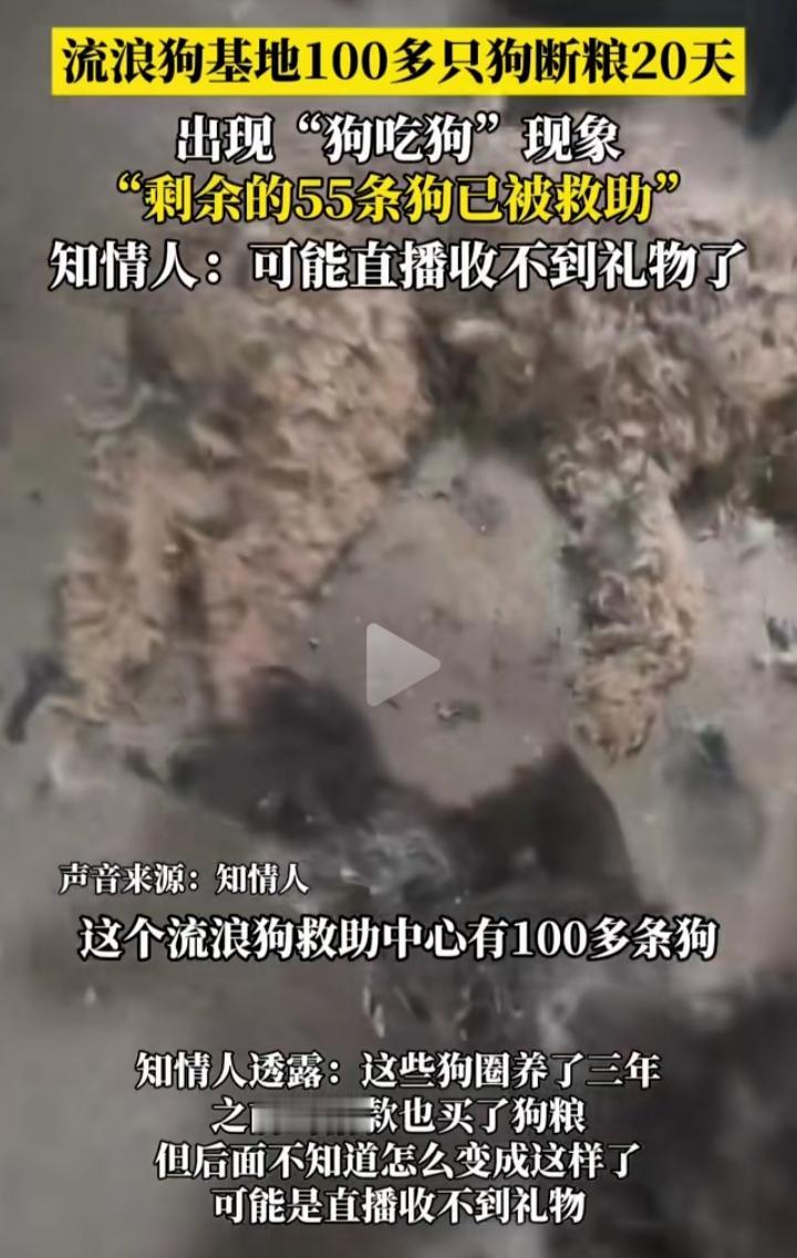 以前只听过狗咬狗，现在倒好直接狗吃狗了，100条流浪狗，断粮20天，这种情况，狗