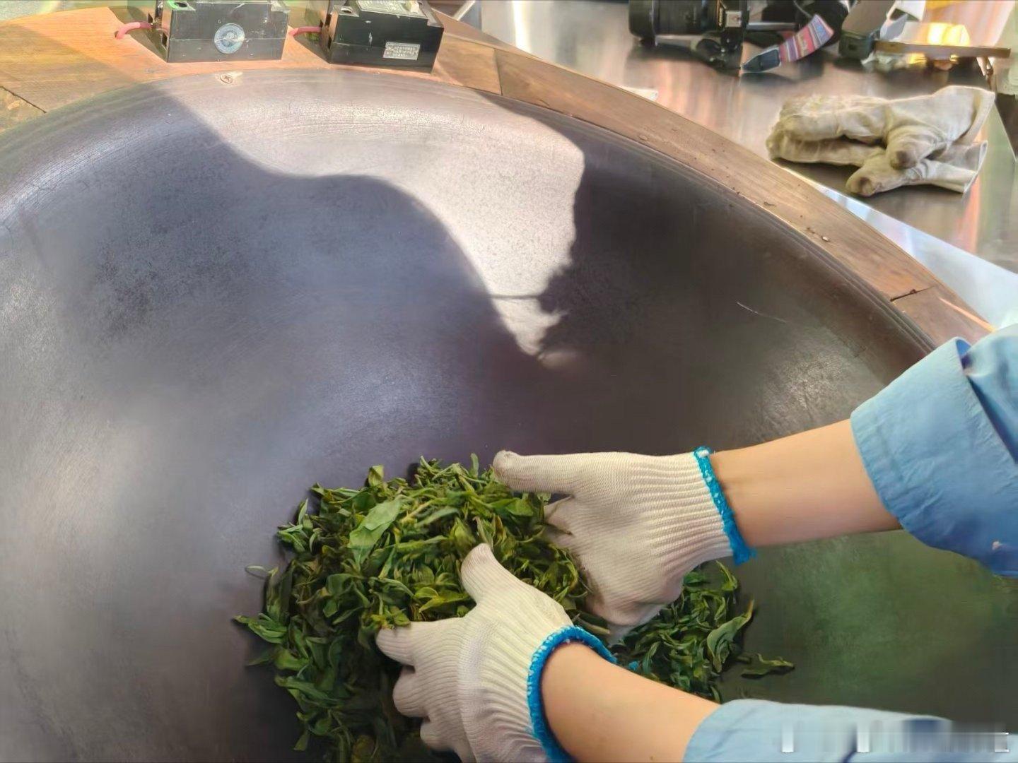 咖位云南点赞云南  绿色是云南最动人的底色。咖啡林间的荫栽模式，与茶山上延续千年