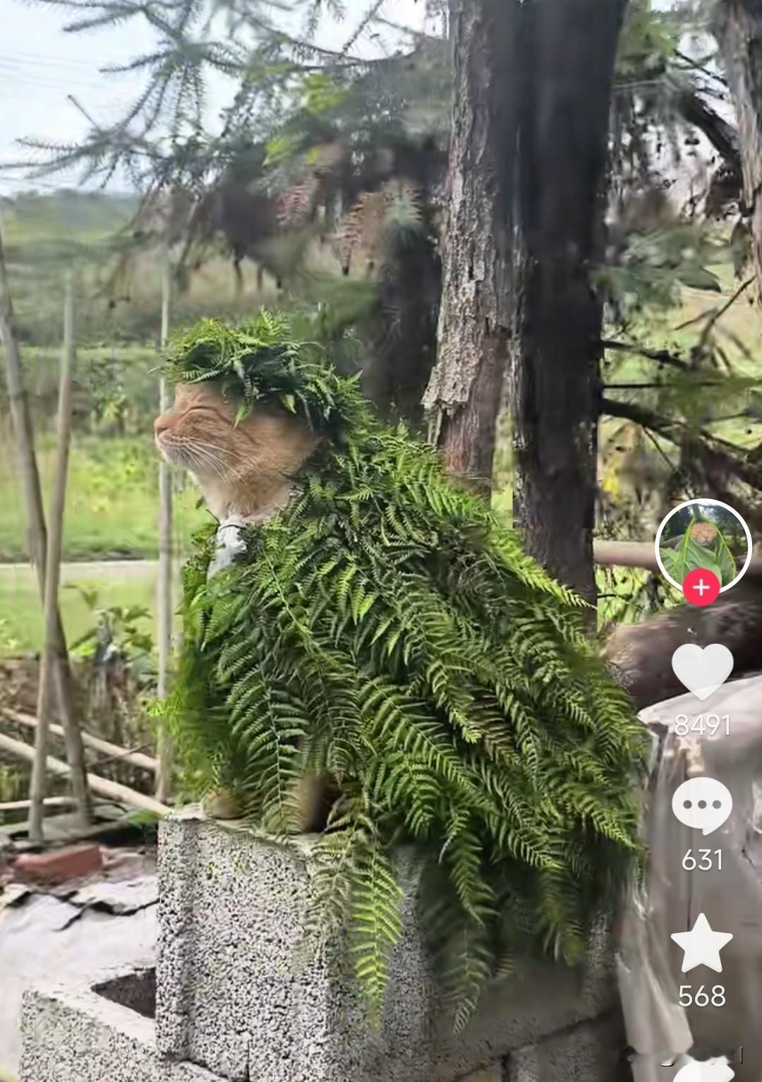 这是我打下来的江山，都听好了，没有我的号令都不要轻举妄动，或者就宰了你们。
这霸