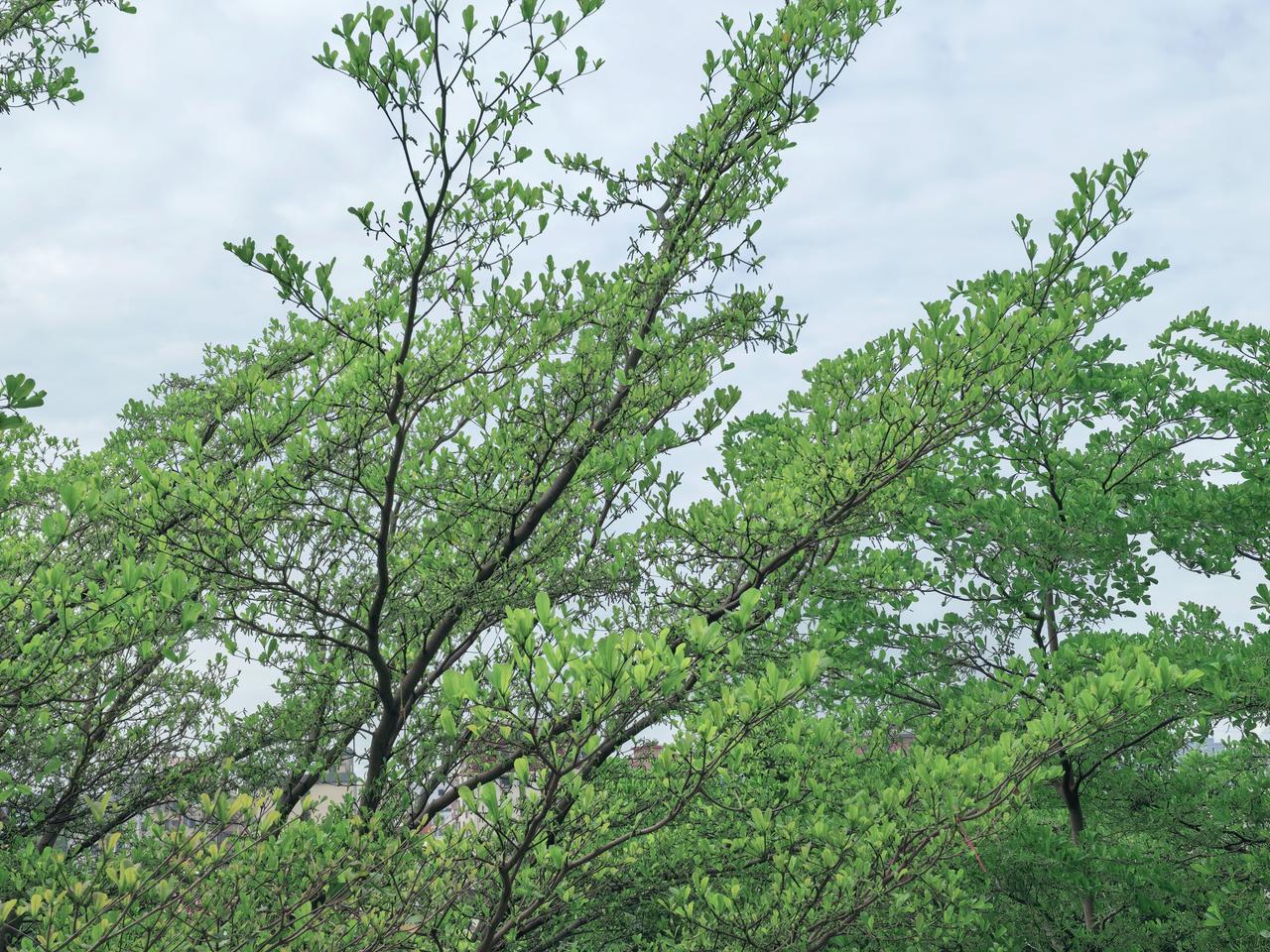 善良给你带来了什么善良带来的最珍贵礼物是内心的安宁与信任的联结。它让你在帮助他人