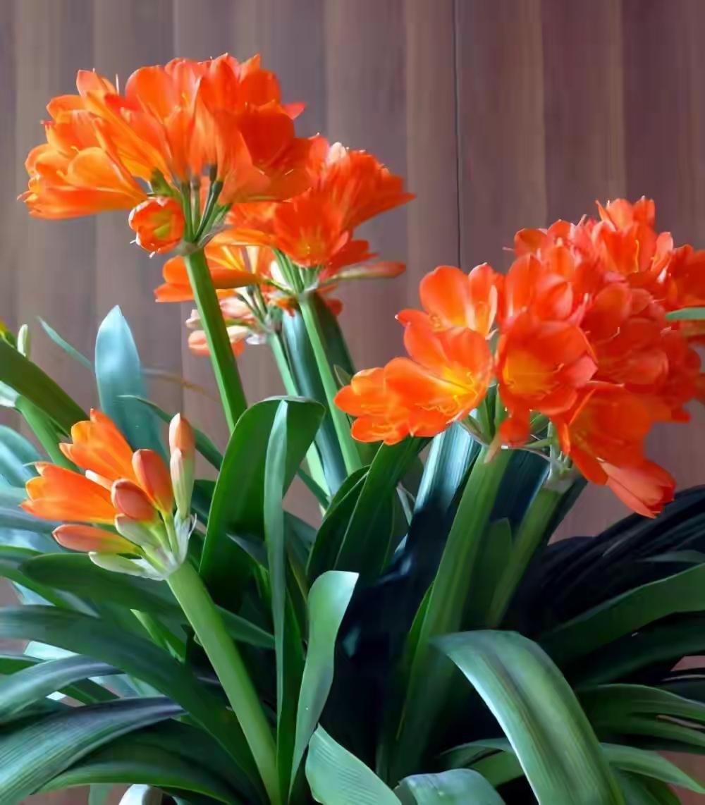 写不出爆款文章，自然应当坚持，不过要重新去理解“坚持”的含义。爆款本就是偶然所得