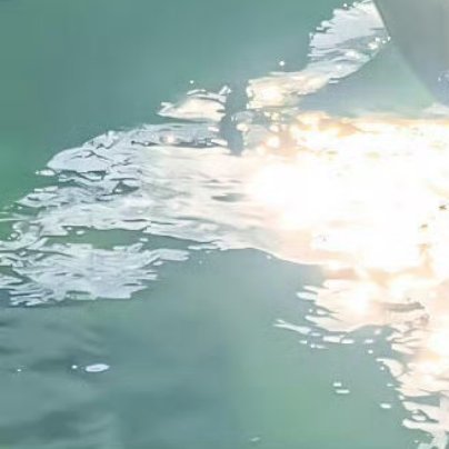 每日一善阳光‎信用 人生就是一场修行，修的就是一颗心，珍惜今天，珍惜现在，风舞落