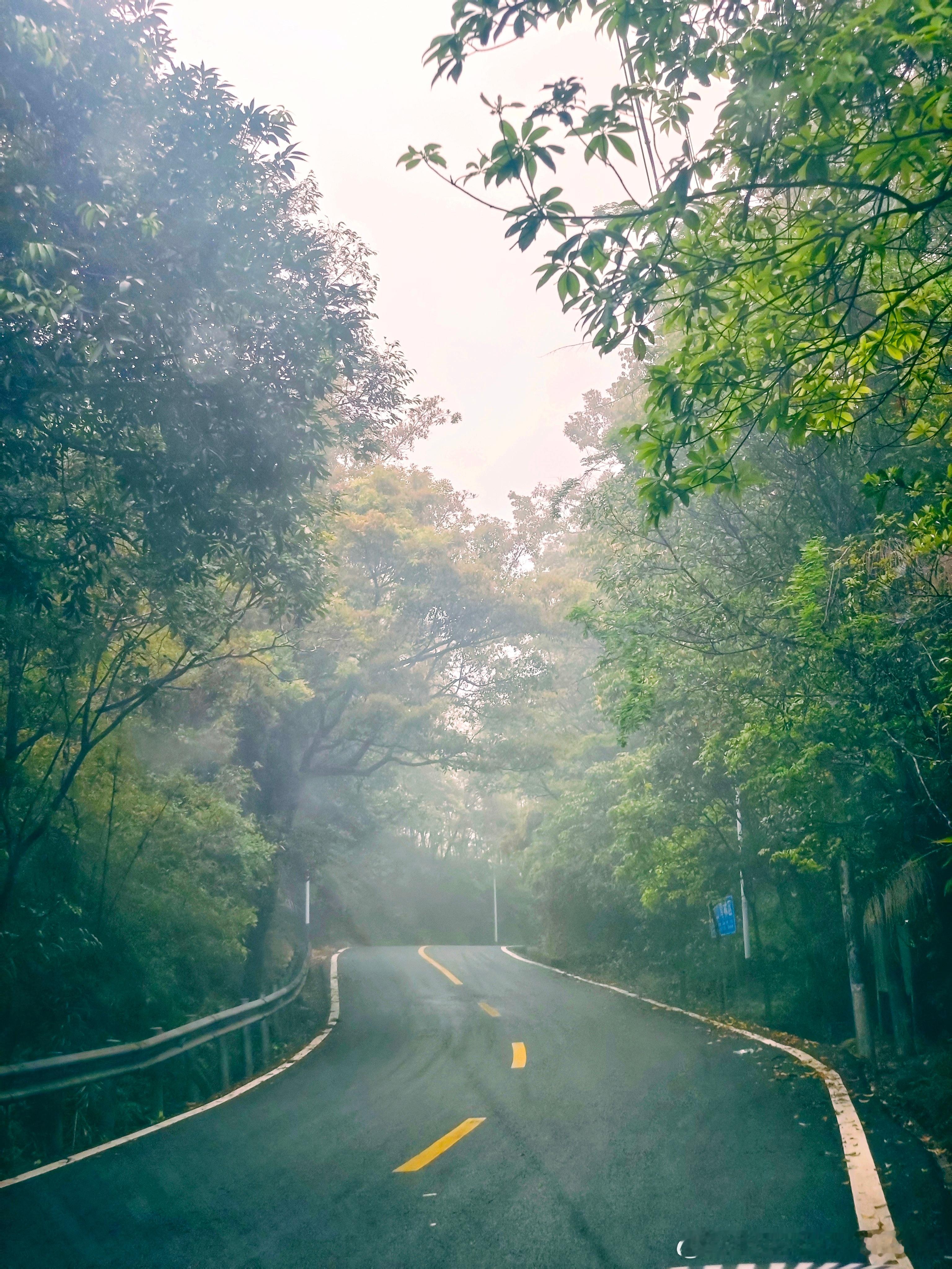 这样的山路，需要什么样的电车来征服？[偷笑][偷笑][偷笑] ​​​