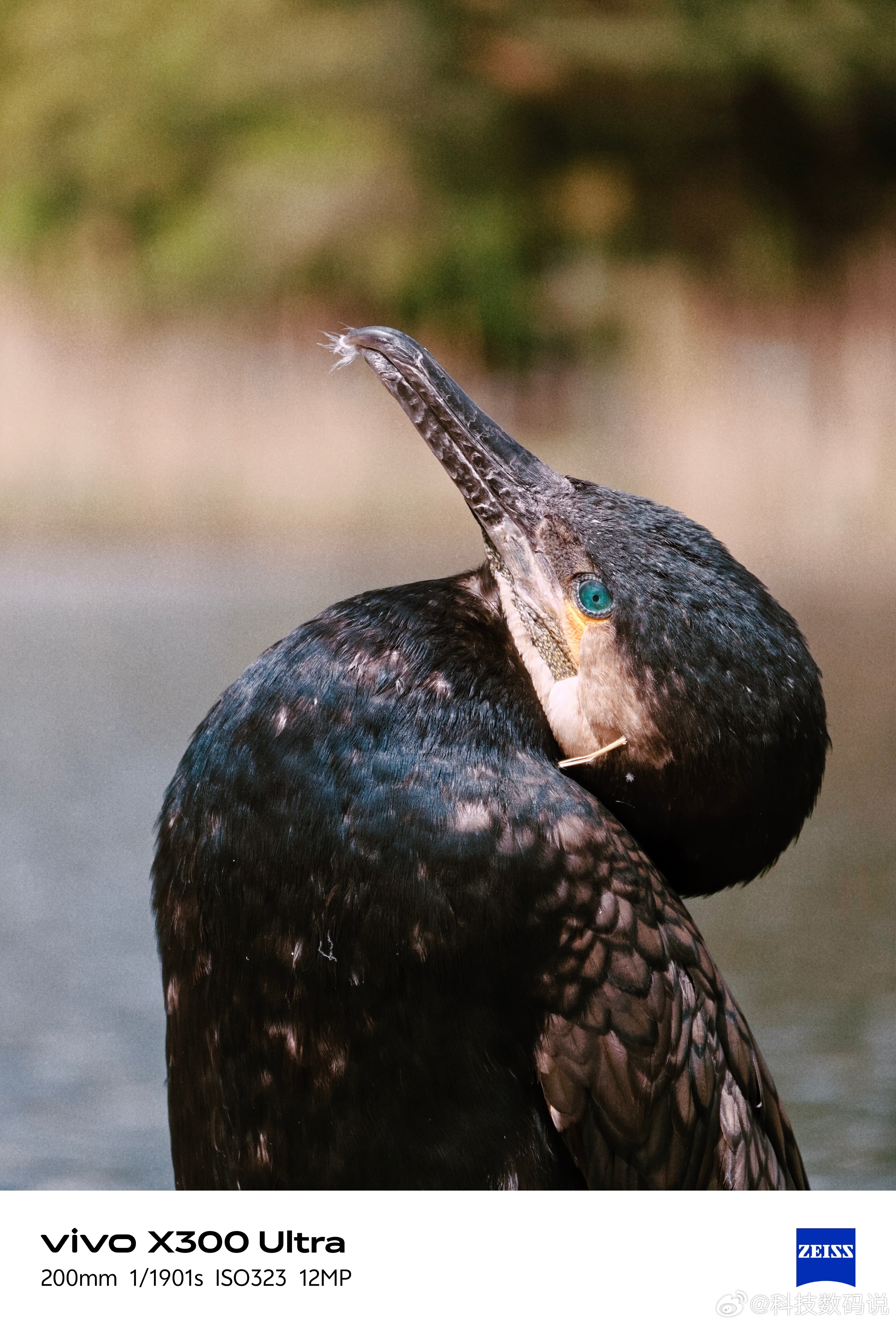 昨晚vivo X300 Ultra发布会现场精心布置了很多场景让大家尽情去享受随