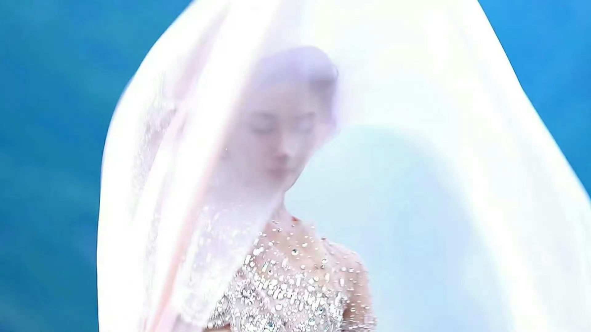 不懂就问，Celine为什么外网不认领诗诗啊，全球广告在哪里，我们可是放弃了TO