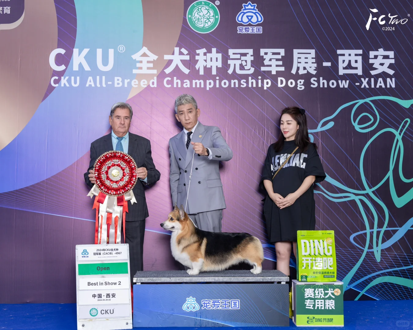 西安第二天：柯基犬Tiger 与繁殖人时卫钢先生，获得open组BIS...