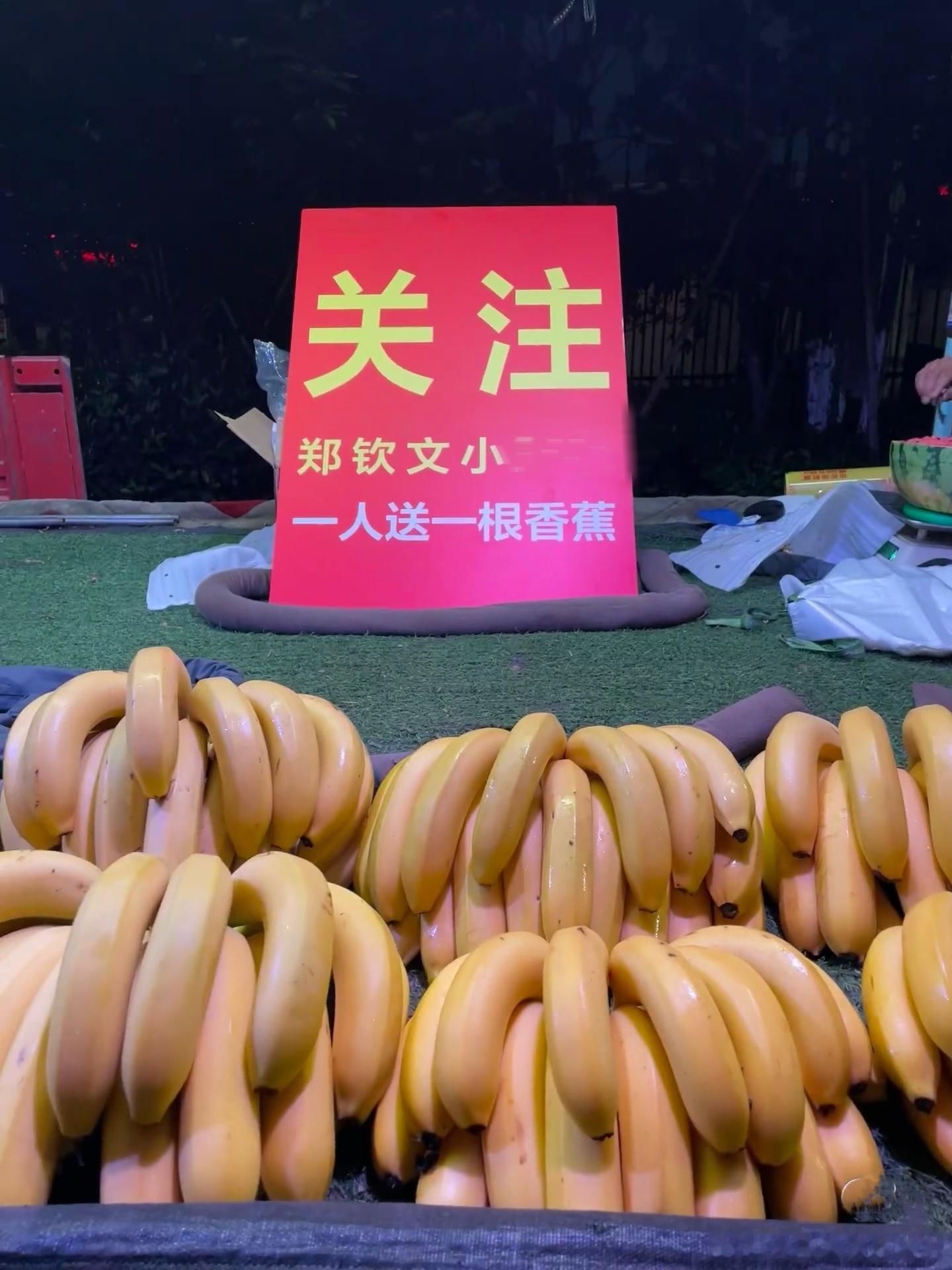 郑钦文看看你带出来的兵 别人家粉丝打call，你家粉丝直接送香蕉，画风逐渐离谱?