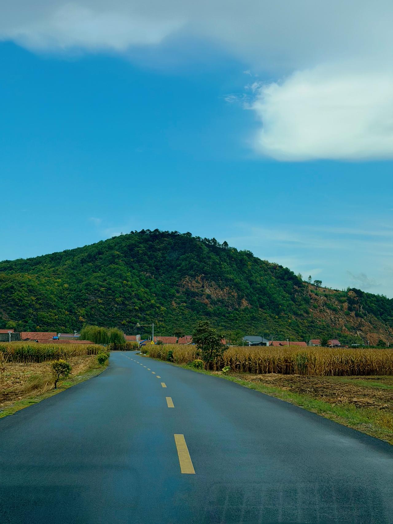 乡村公路上的无人物流车，这可能就是科技普惠带来的便利吧。