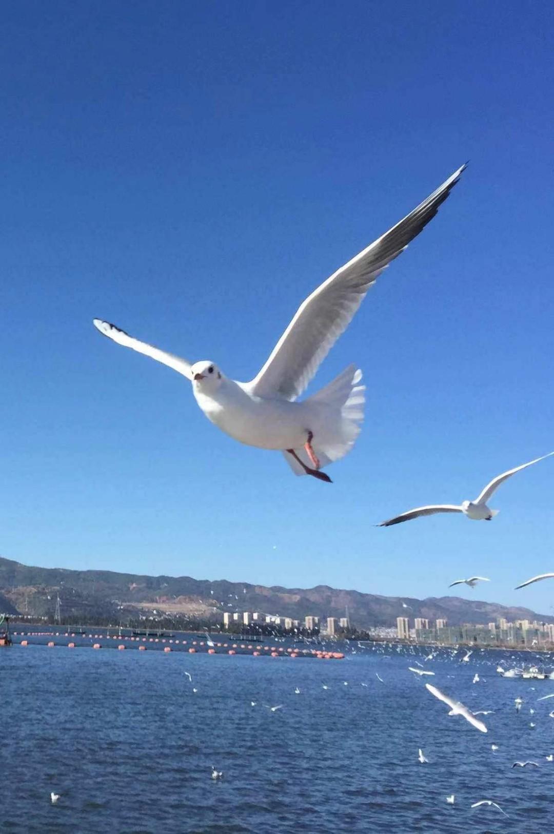 上联：一山一水一风景

下联：半梦半醒半浮生

这幅对联的下联“半梦半醒半浮生”