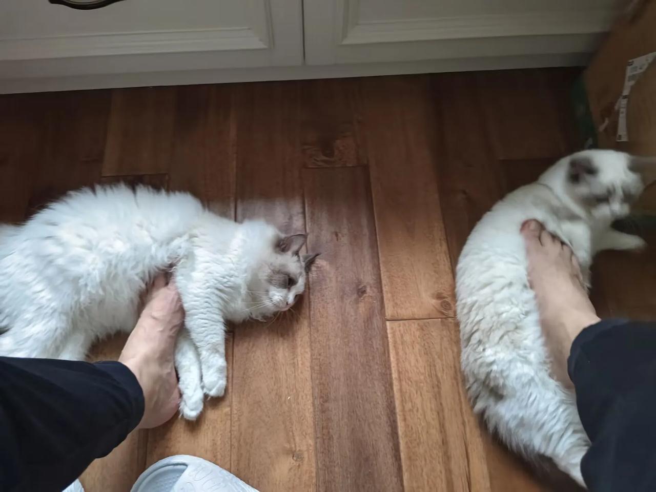 第一次被消防的抽查。早上还在睡觉，一个消防的工作人员电话打过来说要过来看一下我的