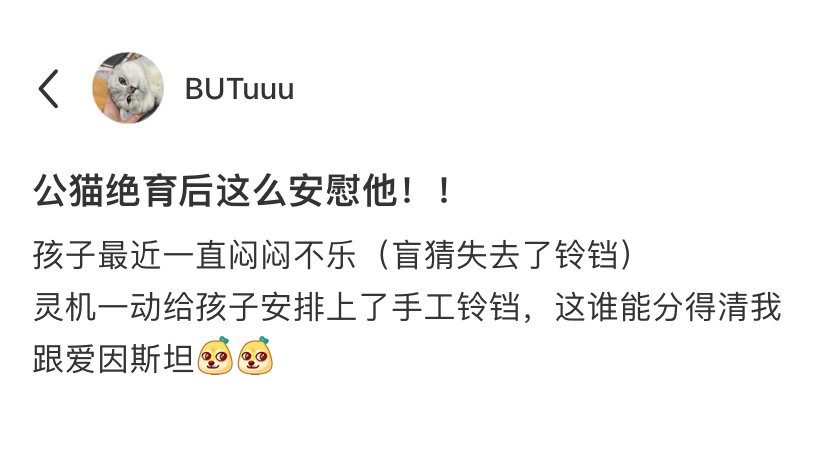 原来小公猫绝育后还能这样安慰[doge] ​​​