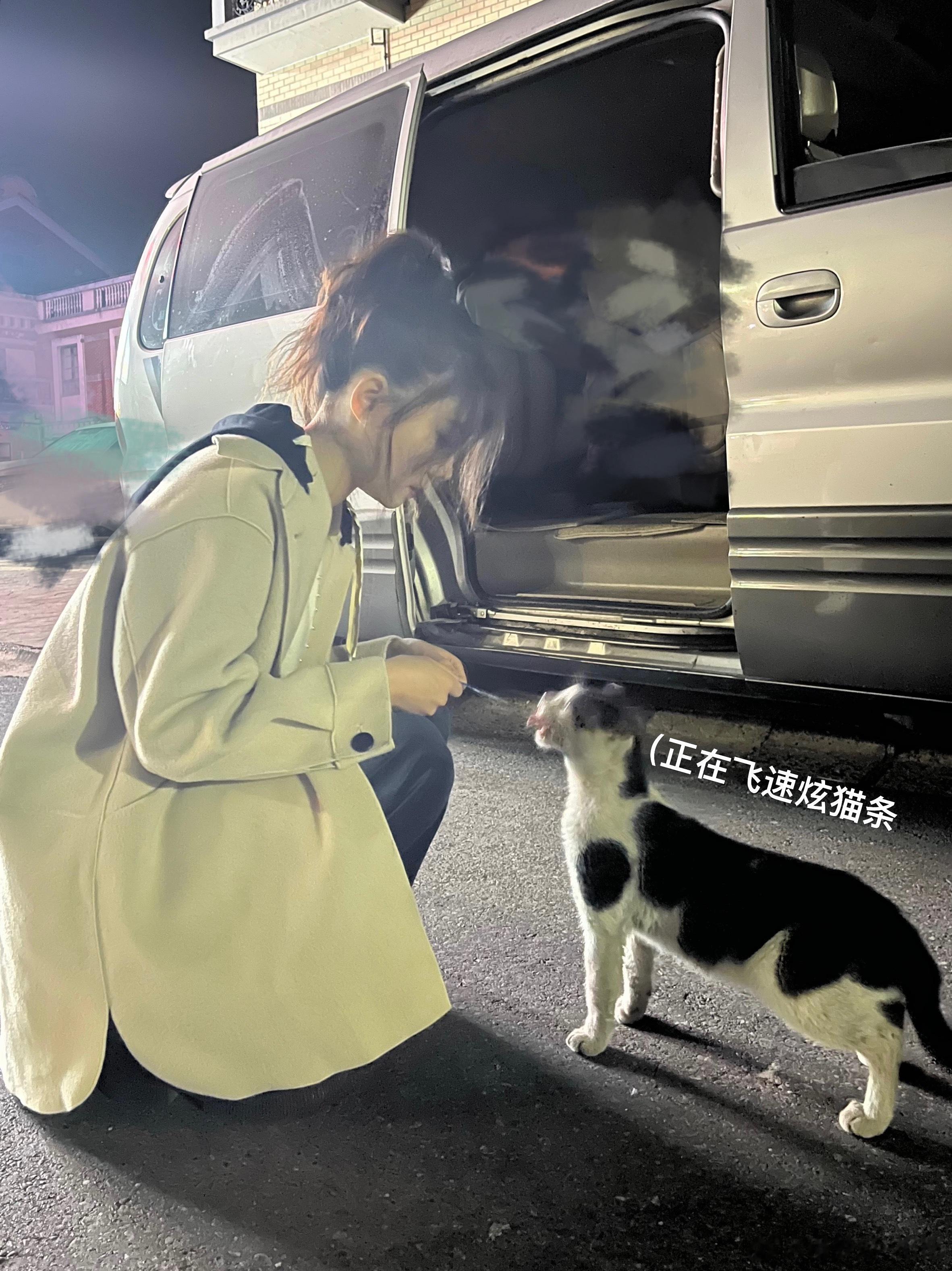 出工遇小猫！～🎬💕🐾#穆梦娇[超话]##日常##猫猫拯救世界# ​​​