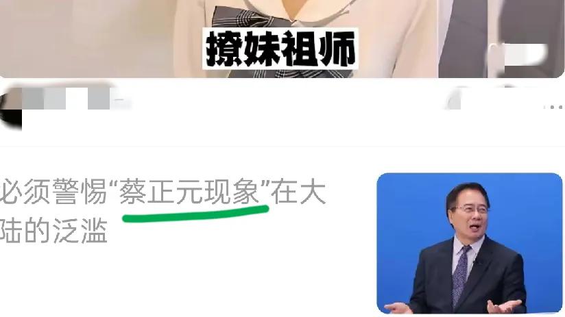 蔡正元正在因三中案而替马嬢嬢服刑，
曾几何时，他和复旦大儒沈逸隔空激辩，
见解深