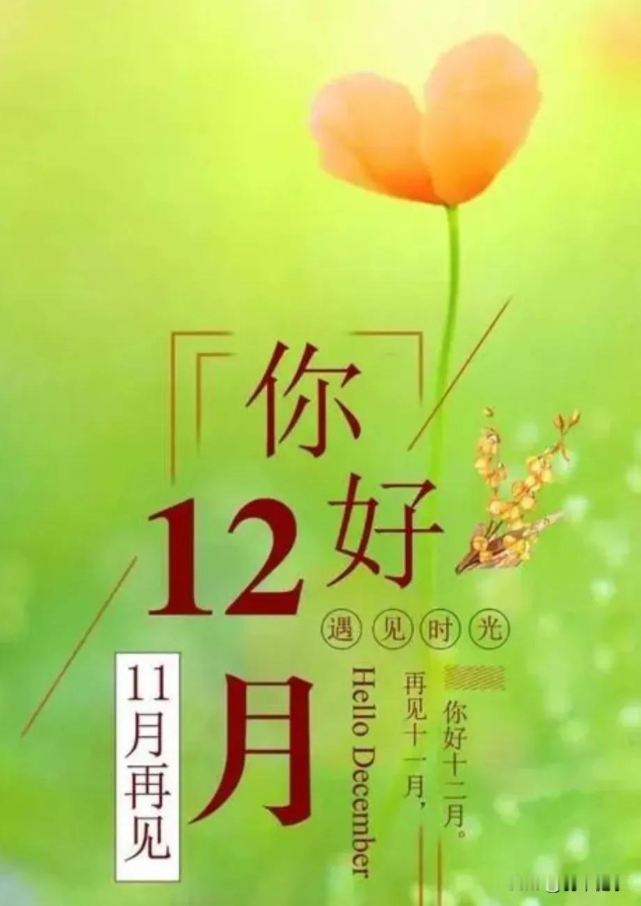 十一月，就这样既成为了是过去，当然也可以看成是未来；。
十二月，是重复了旧历，也