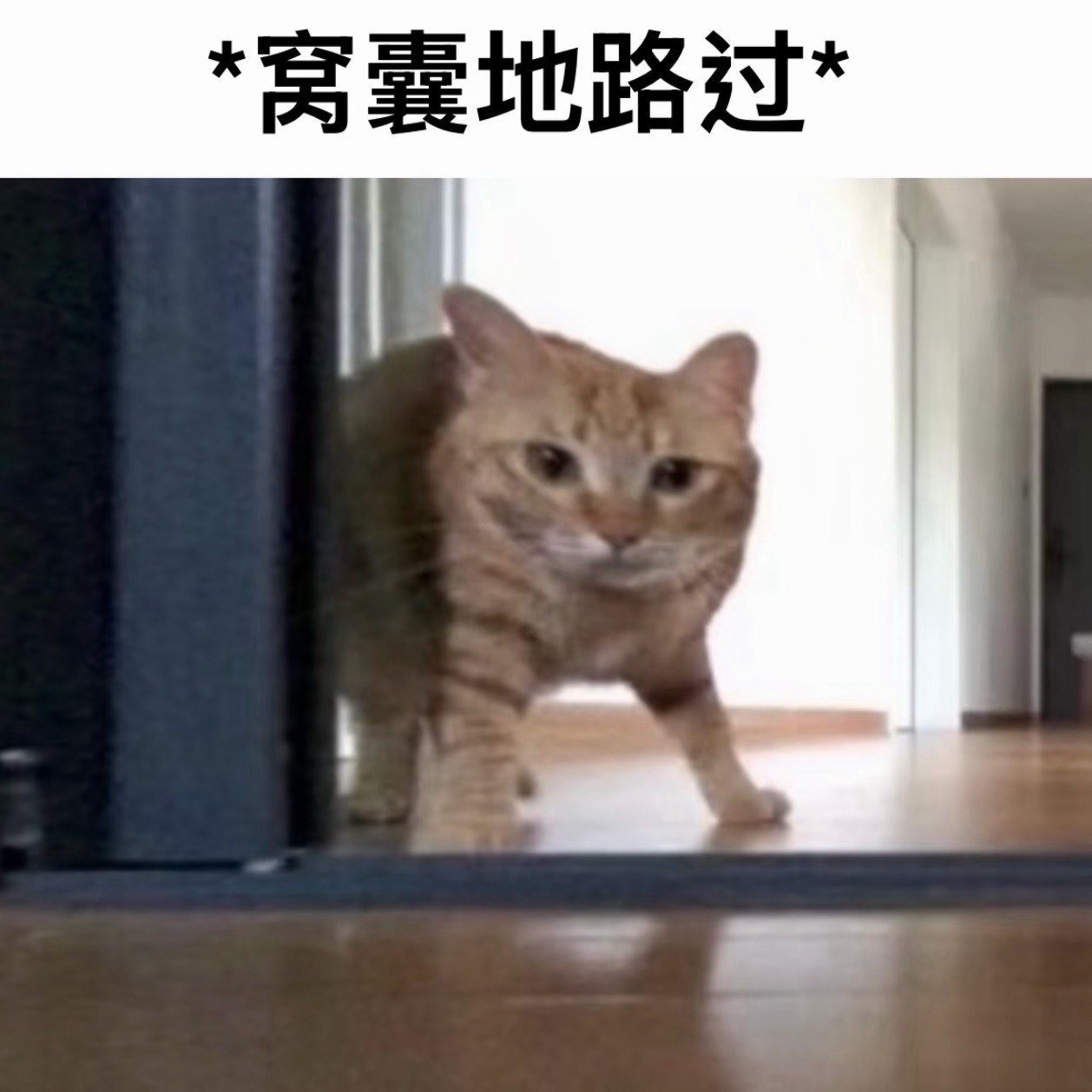 内蒙古一酒店大床长5米宽2米，这是床还是炕…我记得我小时候去内蒙古的时候住过蒙古