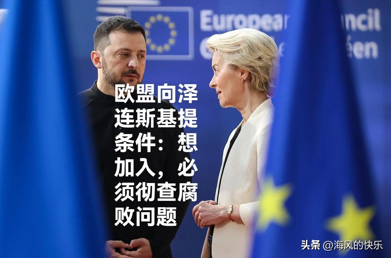 欧盟向泽连斯基提条件：想加入，必须彻查腐败问题

   据外媒德国《时代周报》5