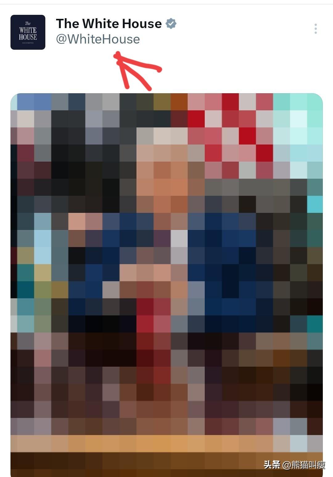 昨夜白宫突然上传两次特朗普在自己桌前的照片，而且是深度马赛克处理过。

老特面前