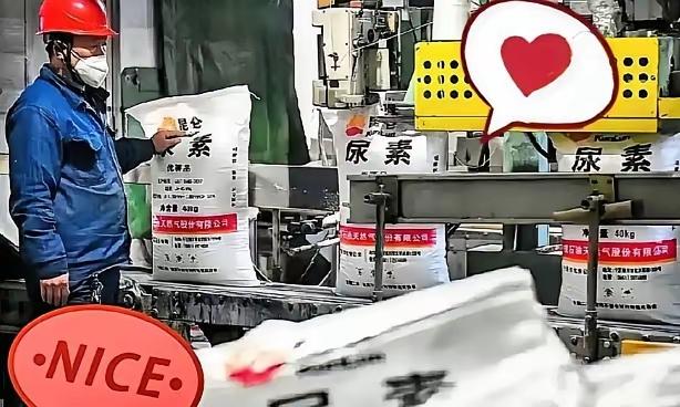 西北尿素厂忙翻！霍尔木兹乱局下，这瓶“工业粮食”稳住国家命脉
 
霍尔木兹海峡那