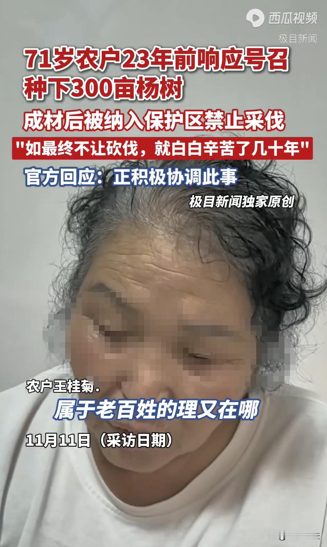 黑龙江齐齐哈尔，一71岁老人在23年前响应号召，签下25年的造林合同，在三百亩土