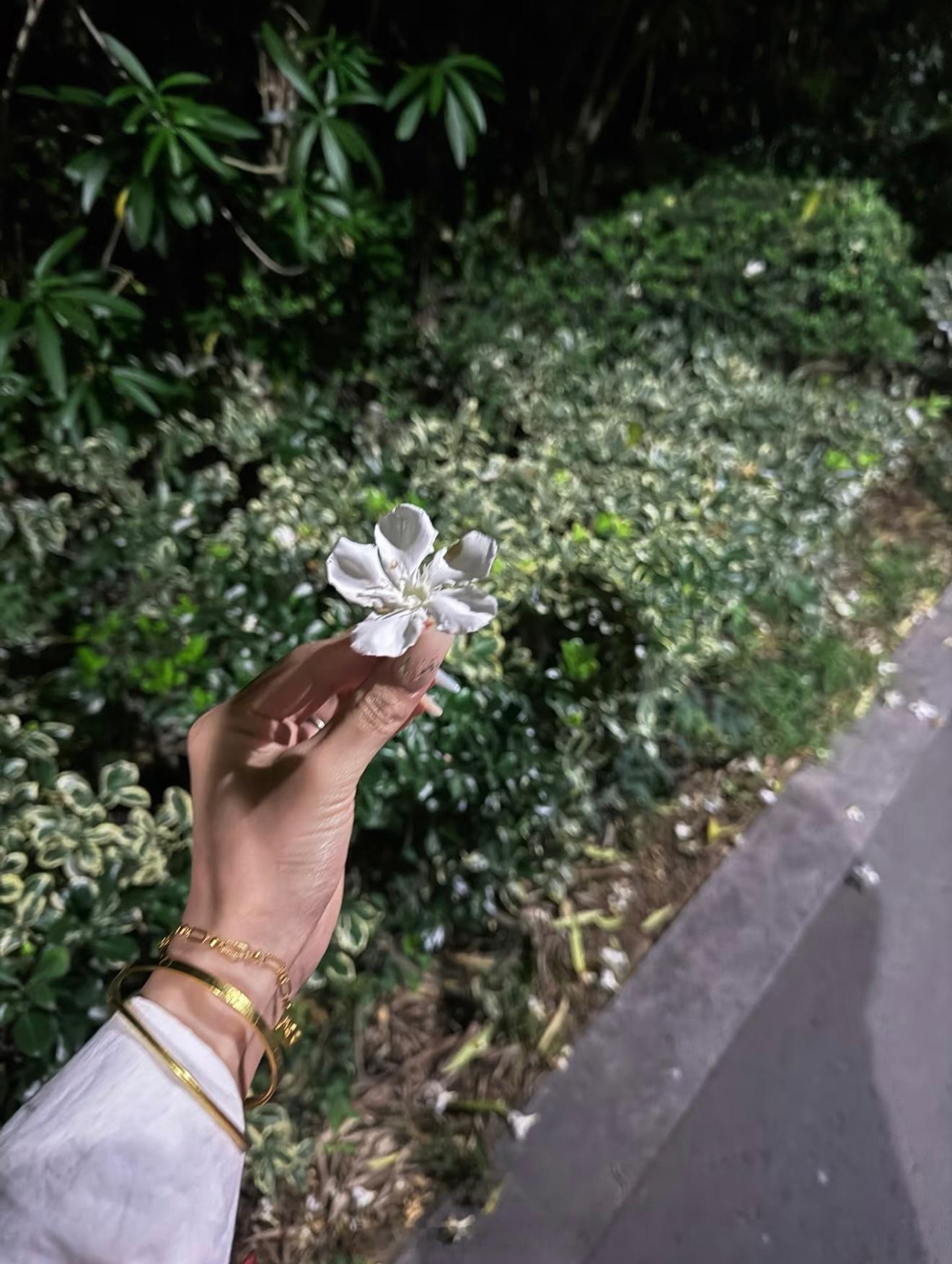 给阿嬷的情书推荐国语版 还是潮汕方言版呀～摄影浪漫生活的记录者生活记录日常记录