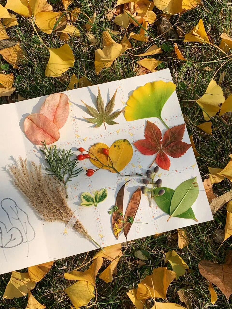 又是一个浪漫的秋天 