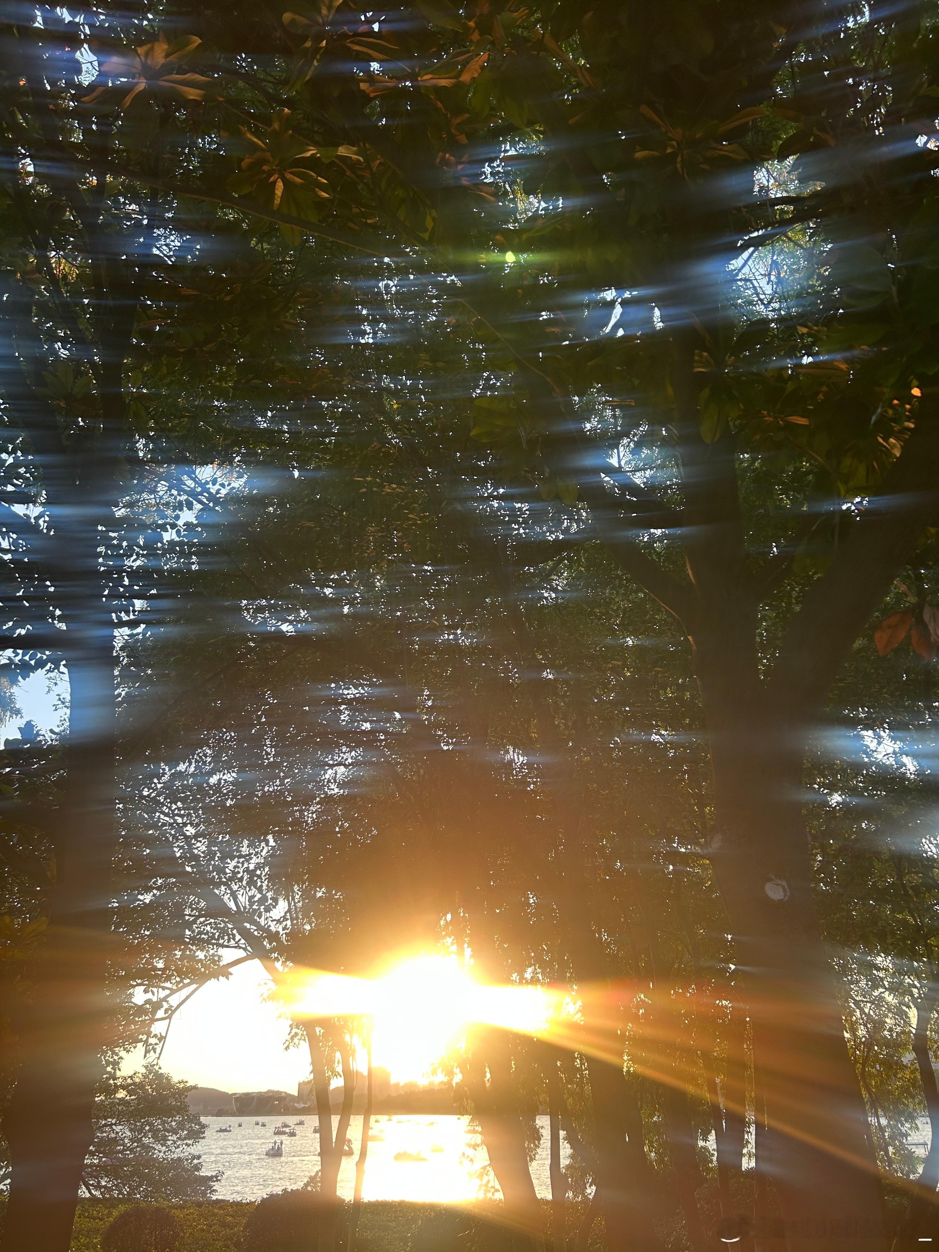 明媚的一天又来了。周二早安。 