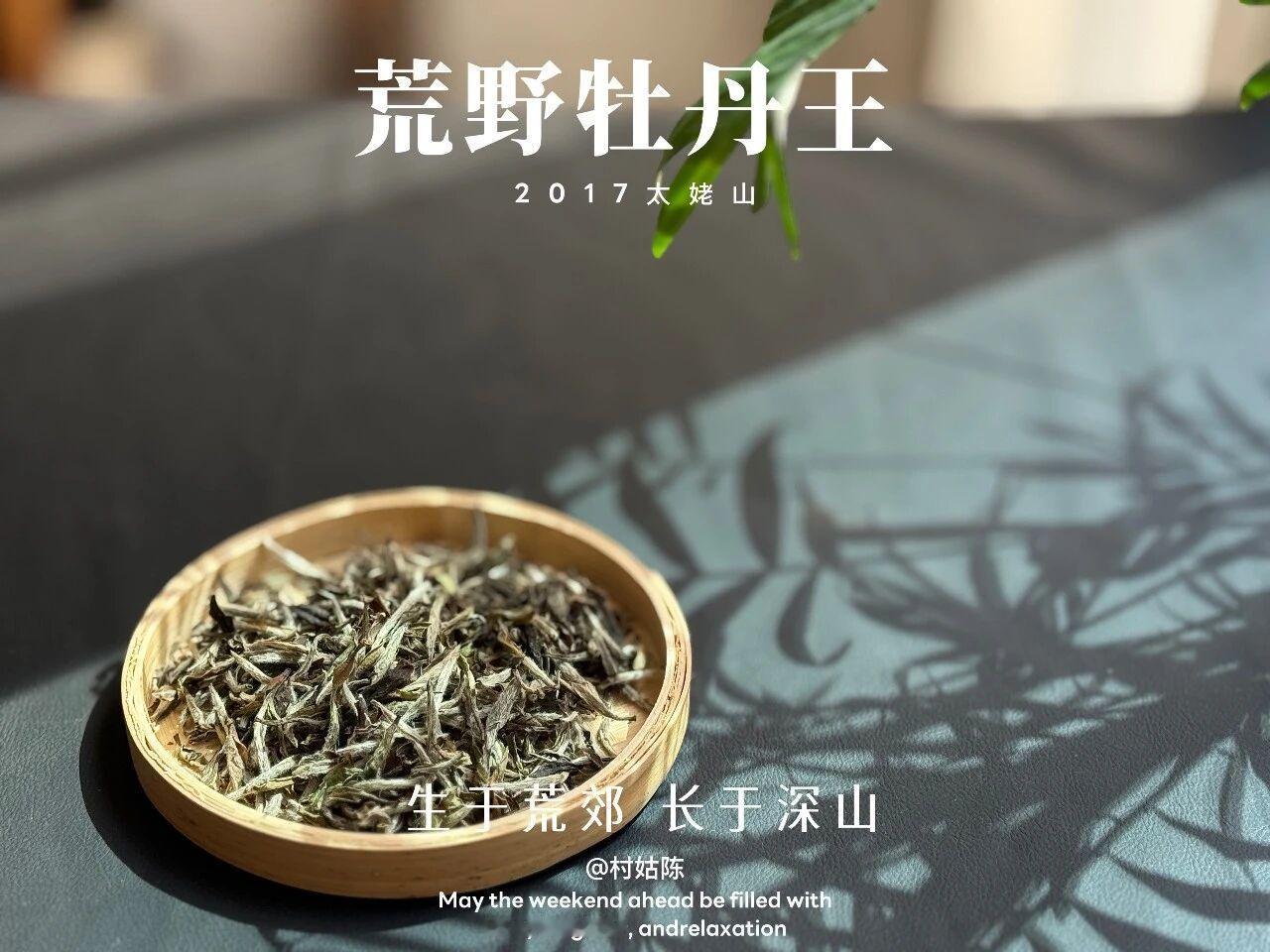 什么样才算优质老白茶？内行人：记住4个标准
第一，原料品质好。
各大白茶产区，以