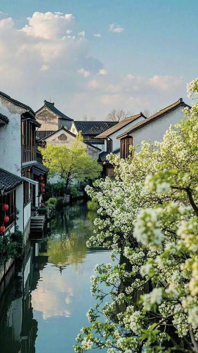 🌸白墙淌水映云影，梨花如雪落江南🏮 时光在这里打了个温柔的结～